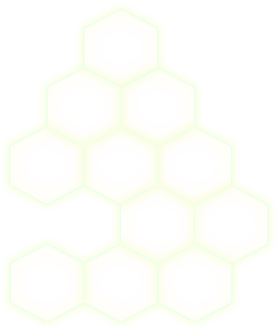 十大死因排行